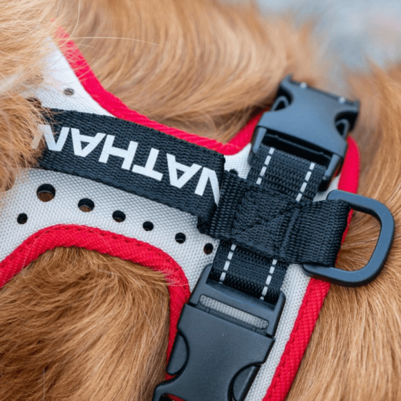 Nathan Sport Medium Dog Harness Girth 23”-29” Reflective Running Washable - Picture 5 of 8